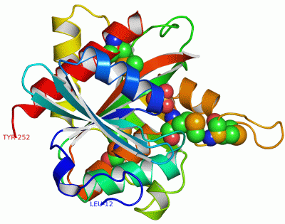Image Asym.Unit - manually
