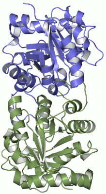 Image Asym./Biol. Unit - manually