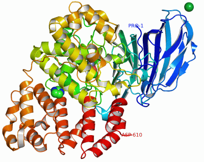 Image Asym./Biol. Unit - manually