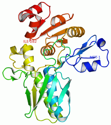 Image Asym./Biol. Unit - manually