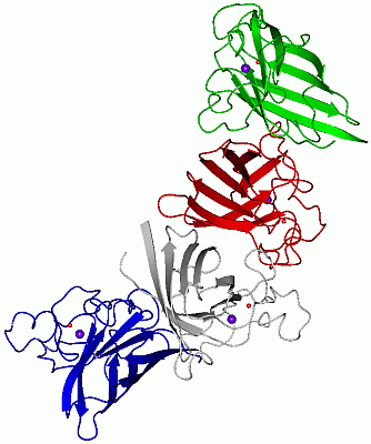 Image Asym./Biol. Unit - manually