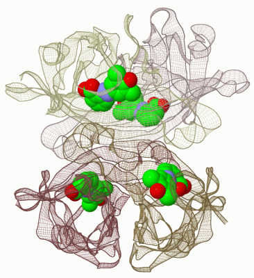 Image Biol.Unit 1 - manually