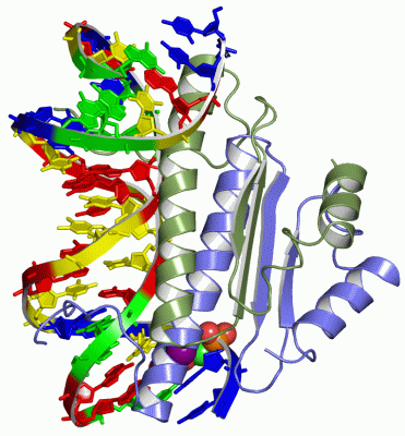 Image Asym./Biol. Unit - manually