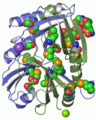 Image Asym.Unit - manually