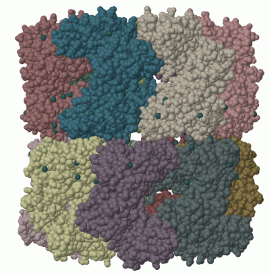 Image Biol.Unit 1 - manually