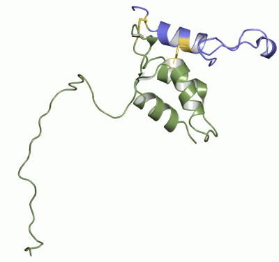 Image NMR Structure - manually
