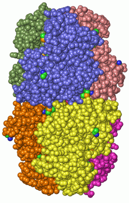 Image Asym./Biol. Unit - manually