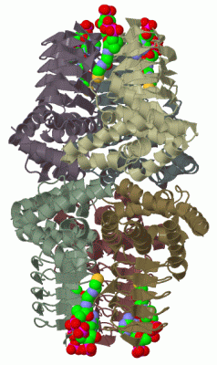 Image Biol.Unit 1 - manually