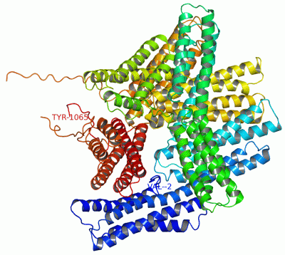 Image Asym./Biol. Unit - manually