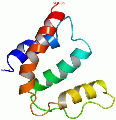 Image NMR Structure - manually