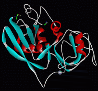 Image Asym./Biol. Unit - manually