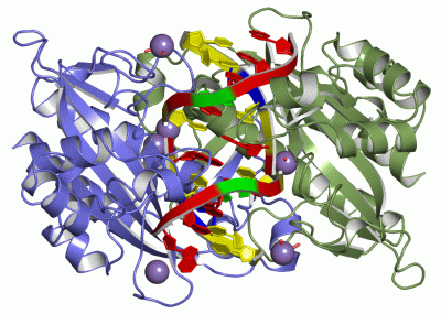 Image Asym./Biol. Unit - manually