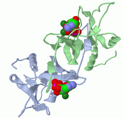 Image Asym./Biol. Unit - manually