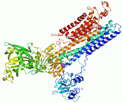 Image Asym./Biol. Unit - manually