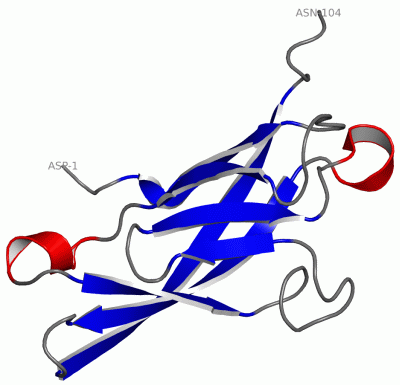 Image NMR Structure - manually