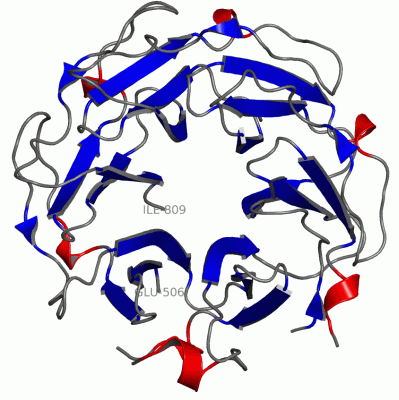 Image Asym./Biol. Unit - manually