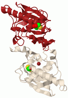 Image Biol.Unit 1 - manually