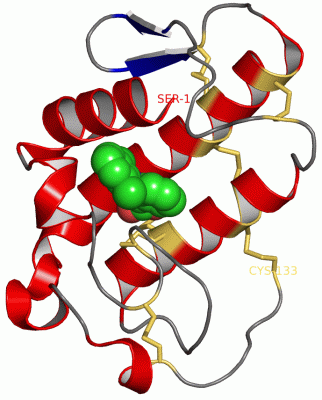 Image Asym./Biol. Unit - manually