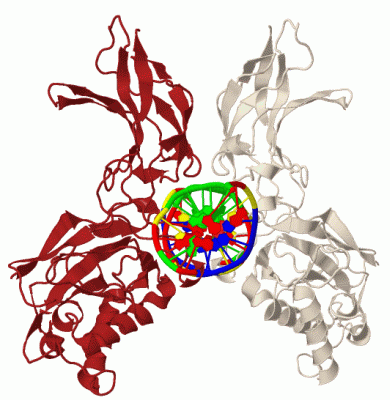 Image Biol.Unit 1 - manually