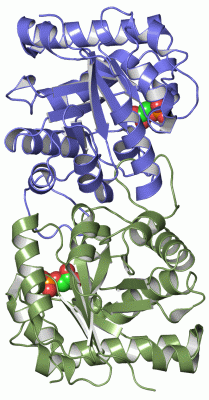 Image Asym./Biol. Unit - manually