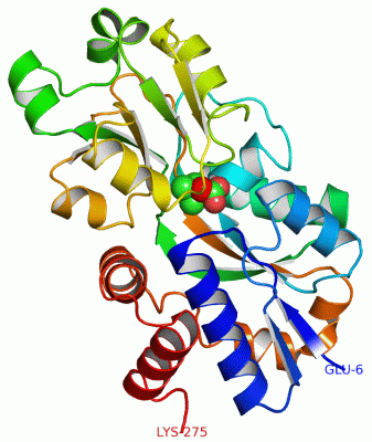 Image Asym./Biol. Unit - manually