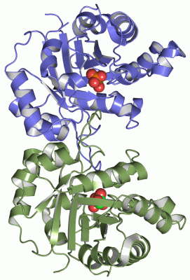 Image Asym./Biol. Unit - manually