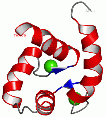 Image NMR Structure - manually