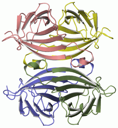 Image Asym./Biol. Unit - manually