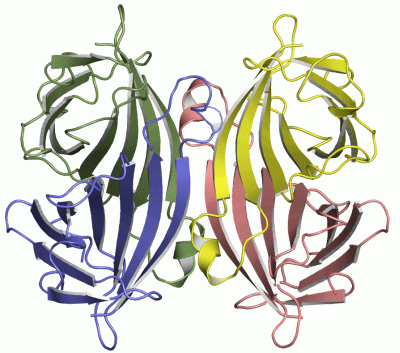 Image Asym./Biol. Unit - manually