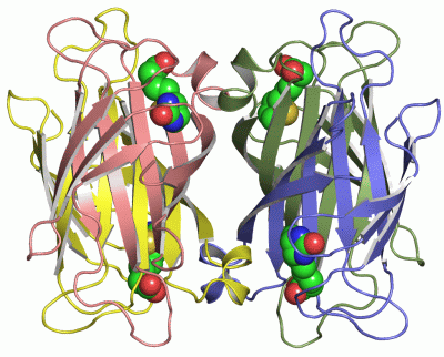 Image Asym./Biol. Unit - manually