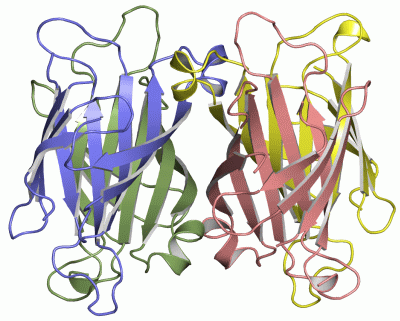 Image Asym./Biol. Unit - manually