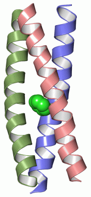 Image Asym./Biol. Unit - manually