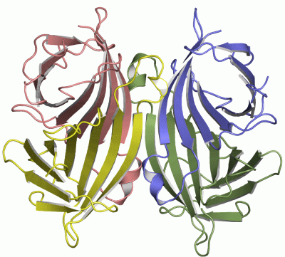 Image Asym./Biol. Unit - manually