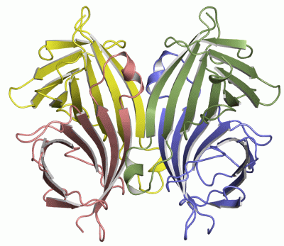 Image Asym./Biol. Unit - manually