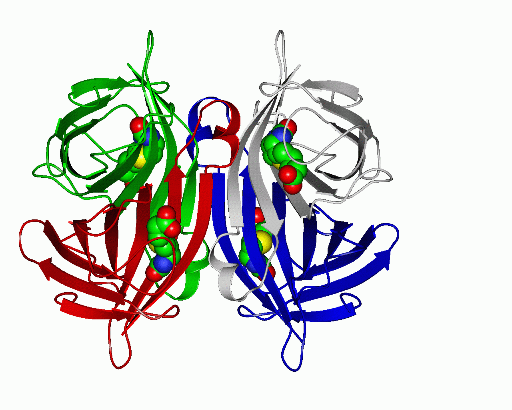 Image Asym./Biol. Unit - manually