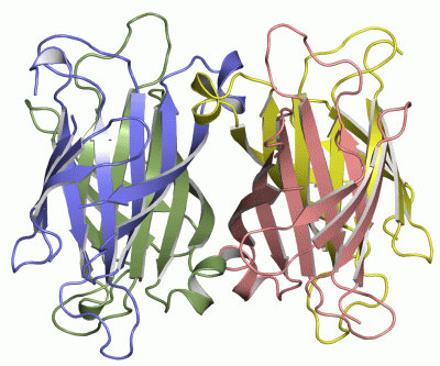 Image Asym./Biol. Unit - manually