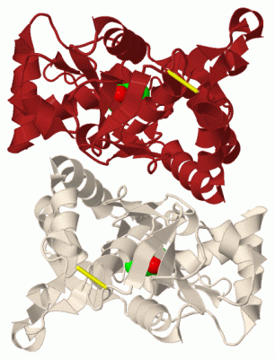 Image Biol.Unit 1 - manually