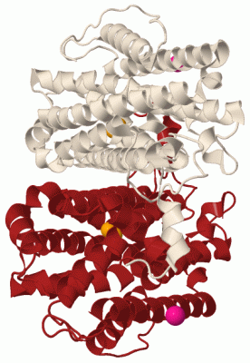 Image Biol.Unit 1 - manually