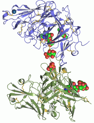 Image Asym./Biol. Unit - manually