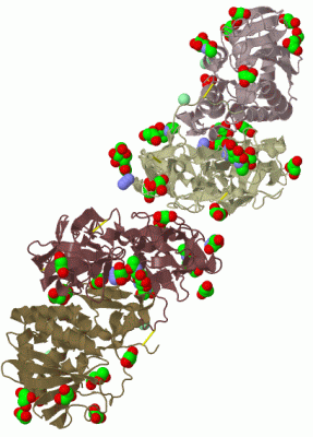 Image Biol.Unit 1 - manually