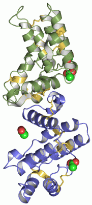 Image Asym.Unit - manually