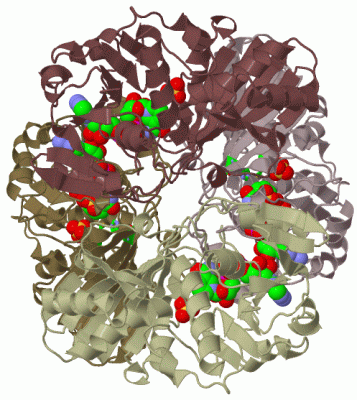 Image Biol.Unit 1 - manually