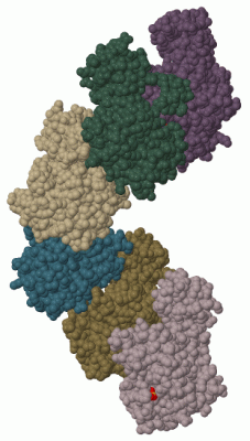 Image Biol.Unit 1 - manually