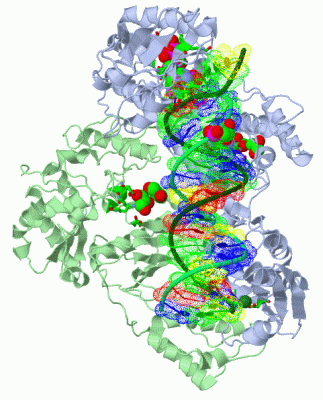 Image Asym./Biol. Unit - manually