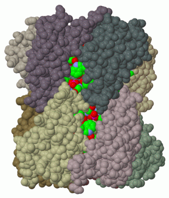 Image Biol.Unit 1 - manually