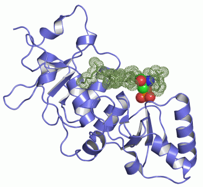 Image Asym./Biol. Unit - manually