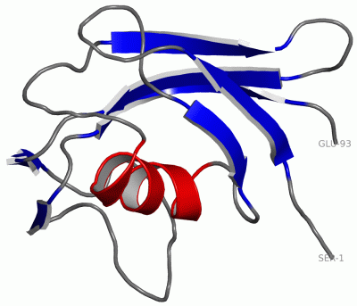 Image NMR Structure - manually