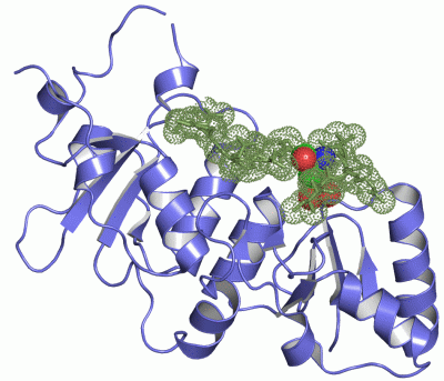 Image Asym./Biol. Unit - manually