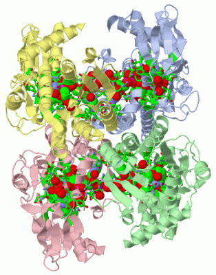 Image Asym./Biol. Unit - manually