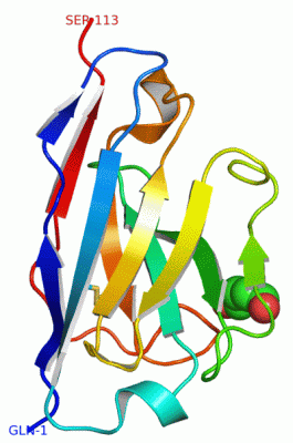 Image Asym./Biol. Unit - manually